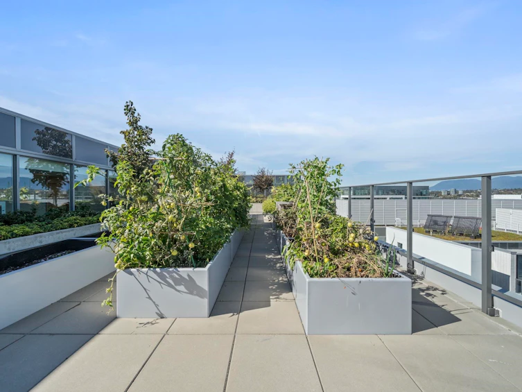 1401-8611 Hazelbridge Way, Richmond, BC, V6X 0W8 - 32