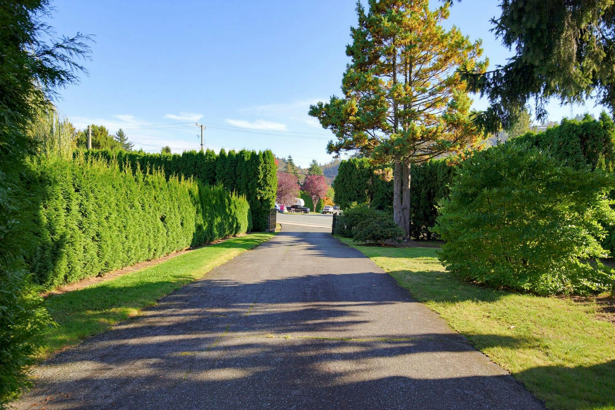 35299 Mckee Road, Abbotsford, BC, V2S 8M1 - 13