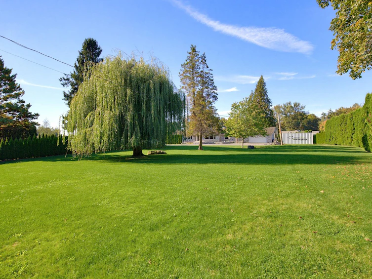 35299 Mckee Road, Abbotsford, BC, V2S 8M1 - 26