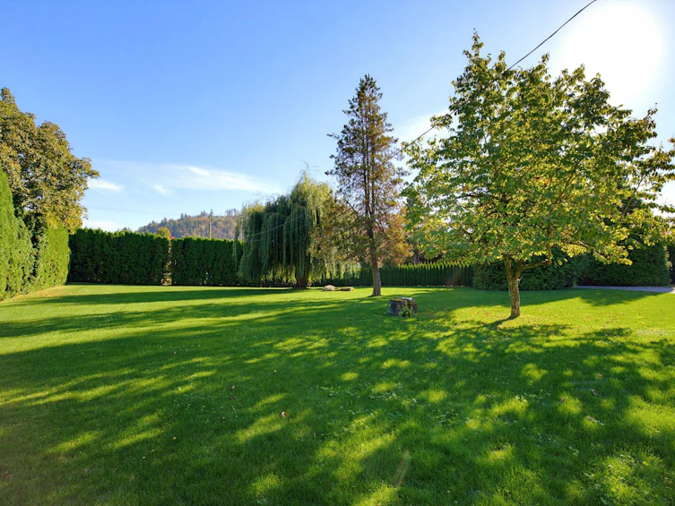 35299 Mckee Road, Abbotsford, BC, V2S 8M1 - 22