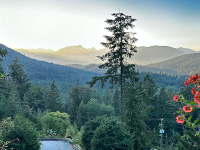 555 Roocroft Lane - 2