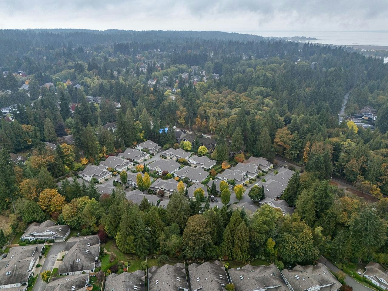 27-3500 144 Street, Surrey, BC, V4P 3J6 - 38