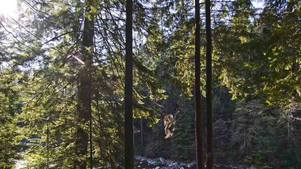 2101 Riverside Drive, North Vancouver, BC, V7H 1V8 - 6