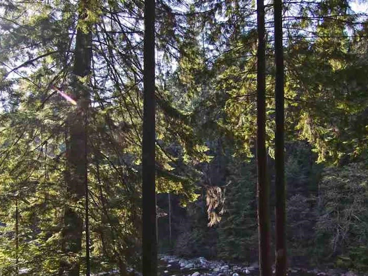 2101 Riverside Drive, North Vancouver, BC, V7H 1V8 - 6