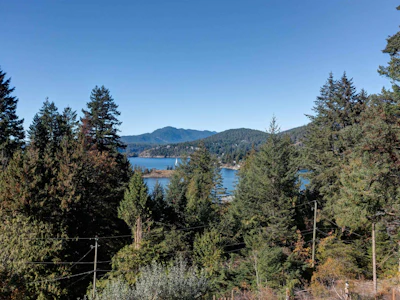 4517 Pollock Road - 4