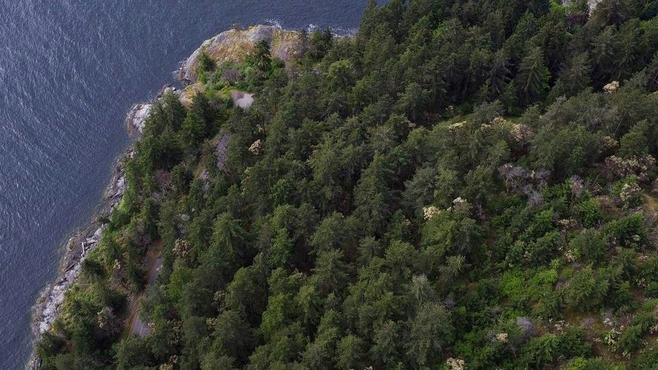 692 Gower Point Road, Gibsons, BC - 21