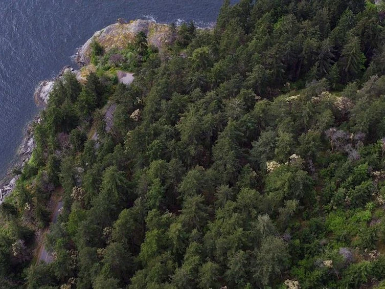 692 Gower Point Road, Gibsons, BC - 21