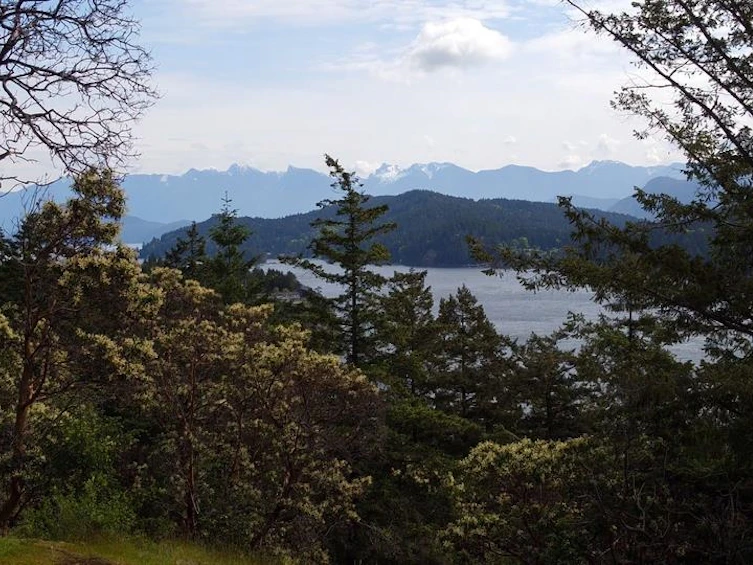 692 Gower Point Road, Gibsons, BC - 23