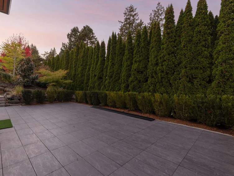 3016 163 Street, Surrey, BC, V3S 0E3 - 33