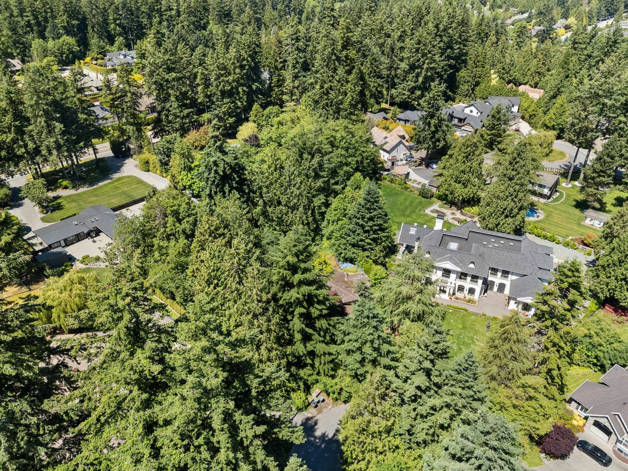 14069 26a Avenue, Surrey, BC, V4P 2E3 - 6