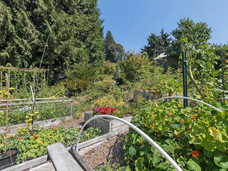 1084 Lillooet Road, North Vancouver, BC, V7J 2H8 - 12