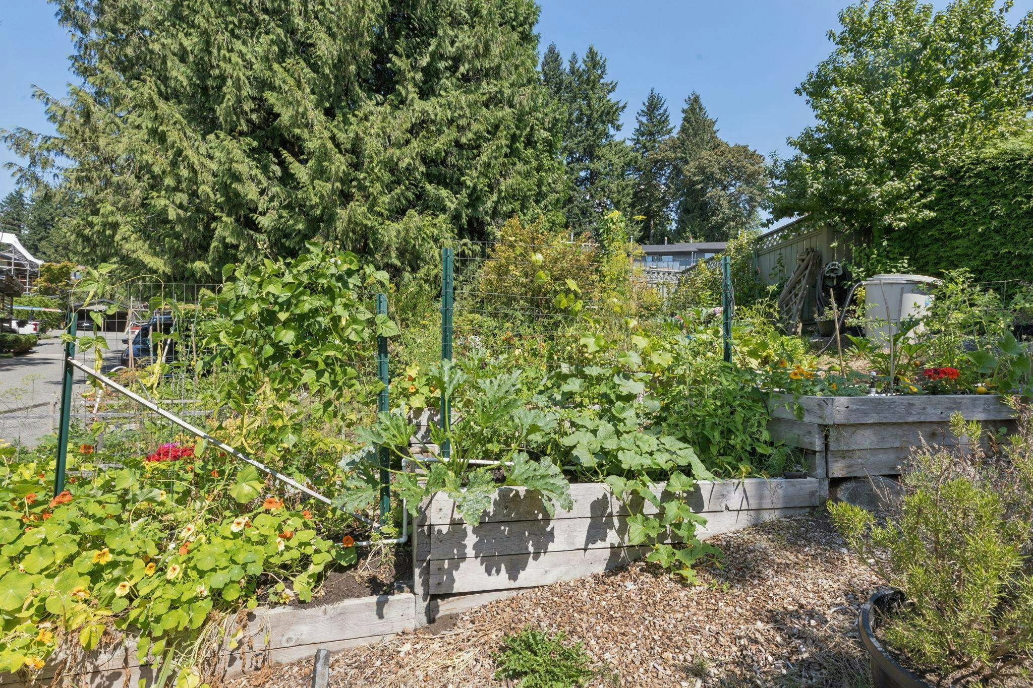 1084 Lillooet Road, North Vancouver, BC, V7J 2H8 - 11