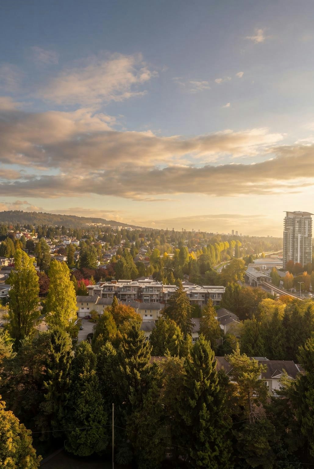 1303-2060 Bellwood Avenue, Burnaby, BC, V5B 4V2 - 28