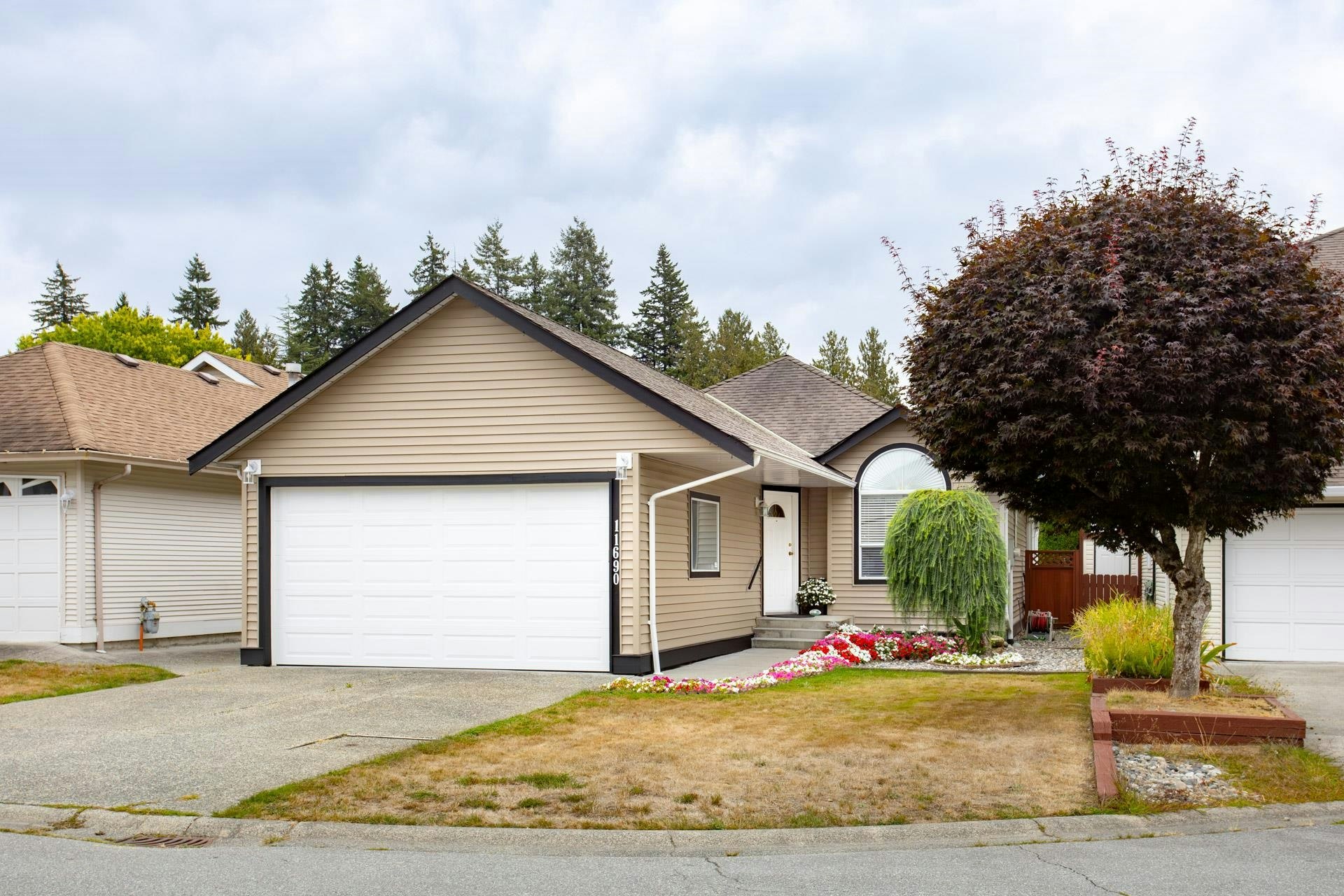 11690 206a Street, Maple Ridge, BC, V2X 0X8