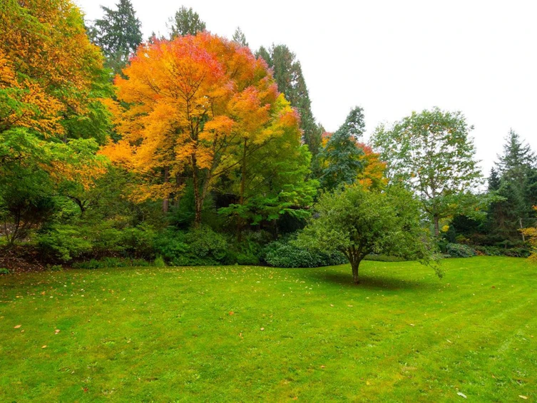 608 Magee Road, Bowen Island, BC, V0N 1G2 - 34