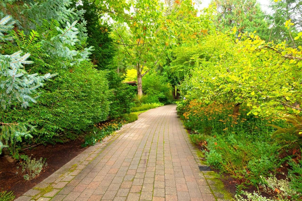 608 Magee Road - 3