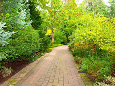 608 Magee Road - 3