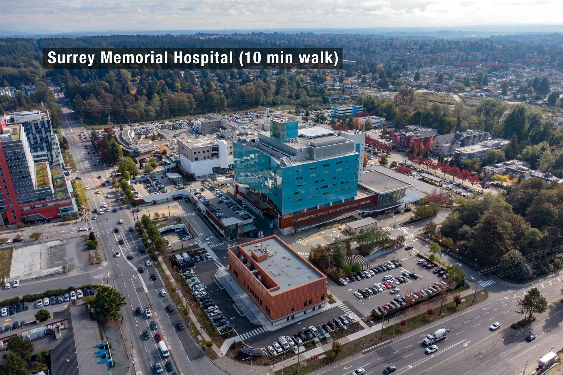 307-13475 96th Avenue, Surrey, BC, V3V 1Y8 - 31