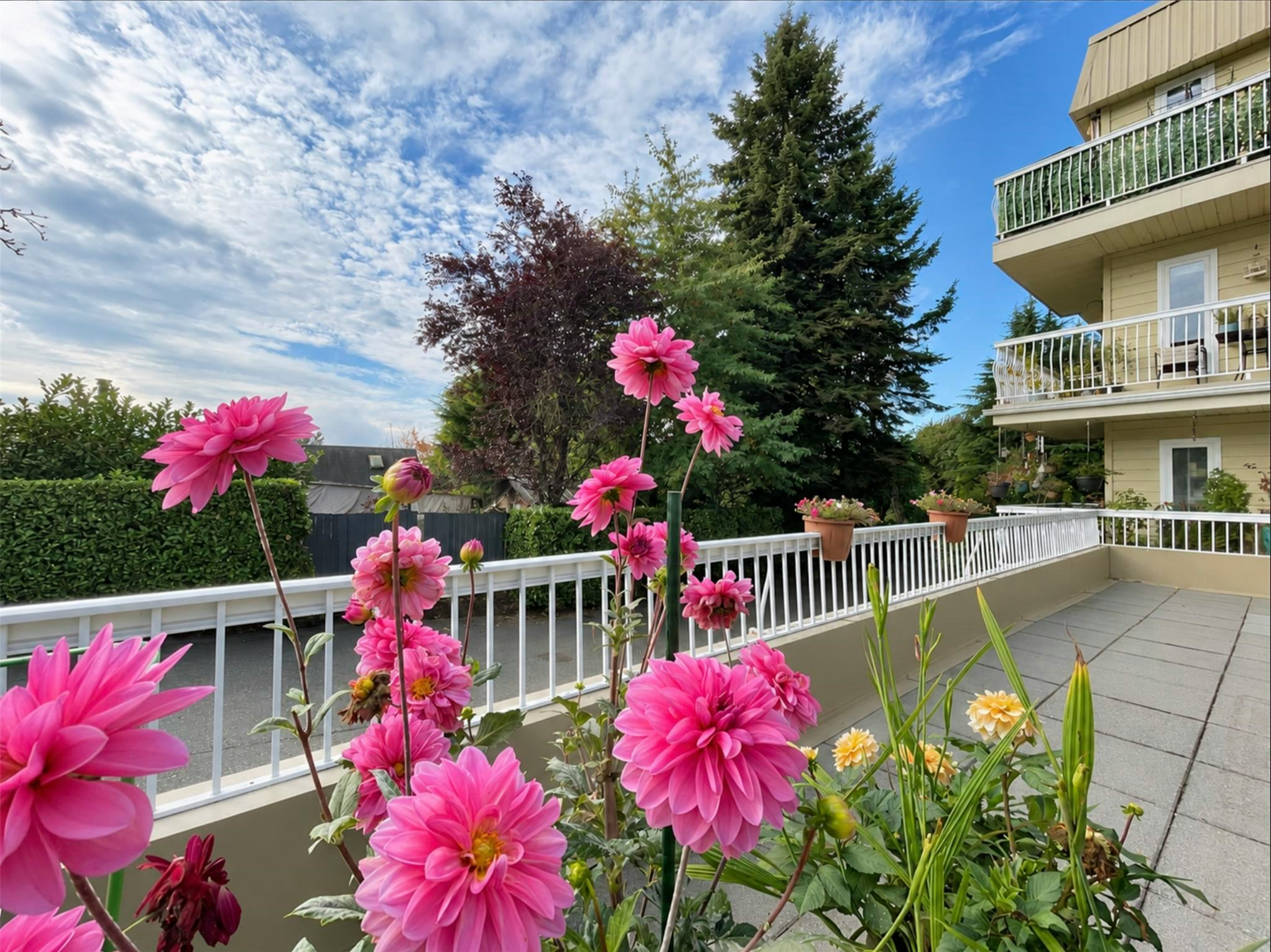 329-7436 Stave Lake Street, Mission, BC, V2V 5B9 - 24