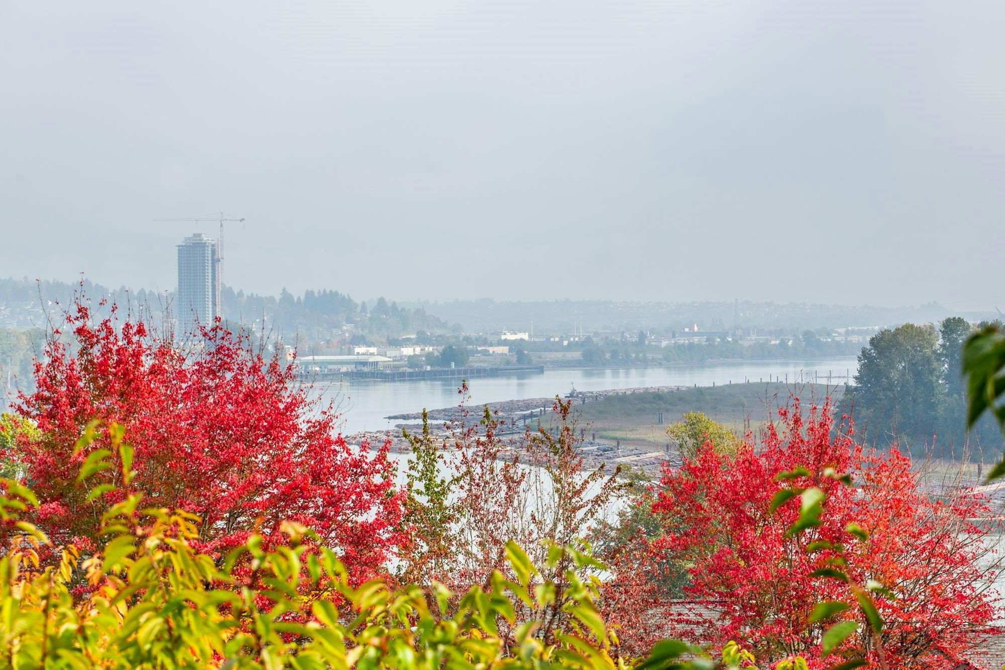 412-78 Richmond Street, New Westminster, BC, V3L 5T2 - 39