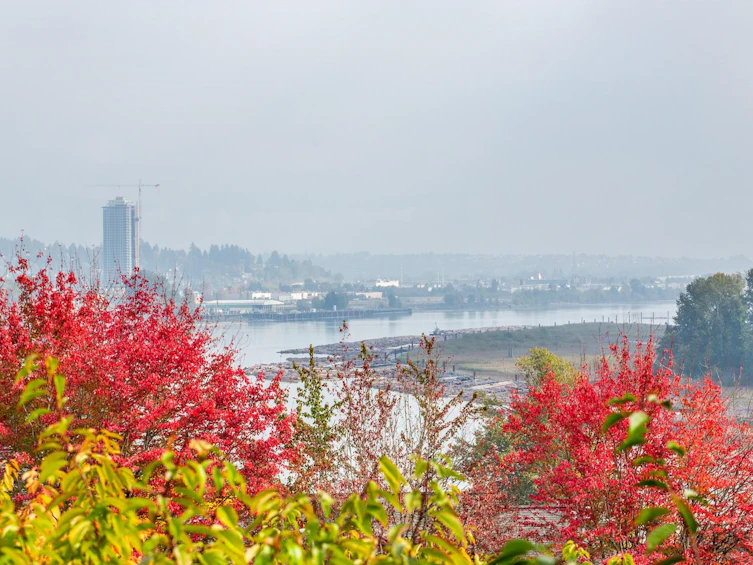 412-78 Richmond Street, New Westminster, BC, V3L 5T2 - 39