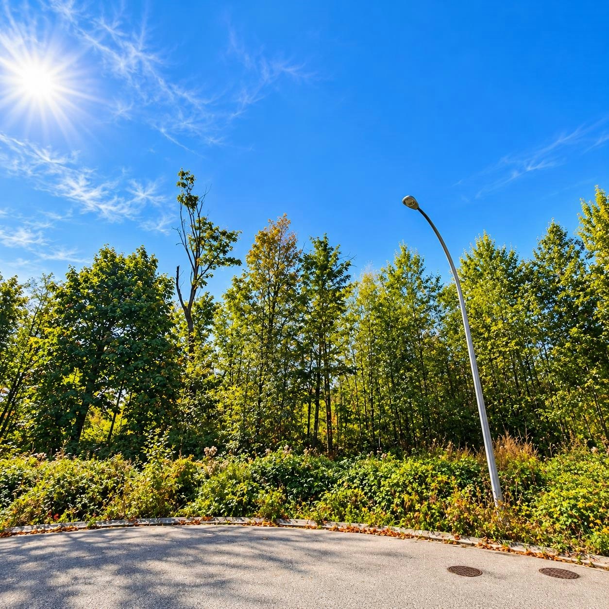 14500 59 Avenue, Surrey, BC, V3S 7B5