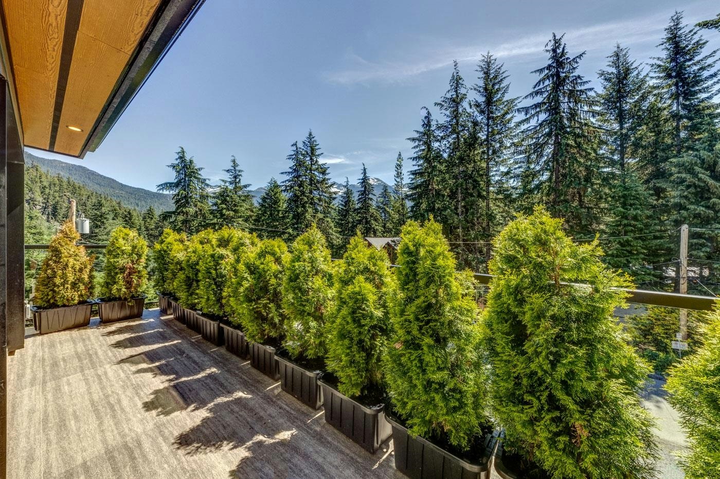 9391 Emerald Drive, Whistler, BC, V8E 0G5 - 17