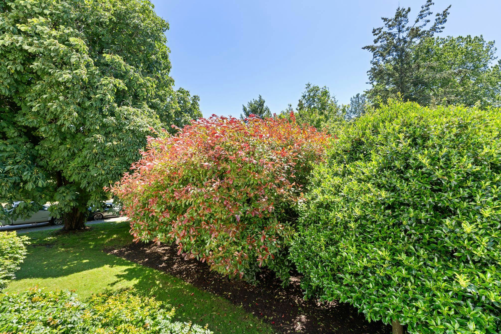111-1341 George Street, Surrey, BC, V4B 4A1 - 16