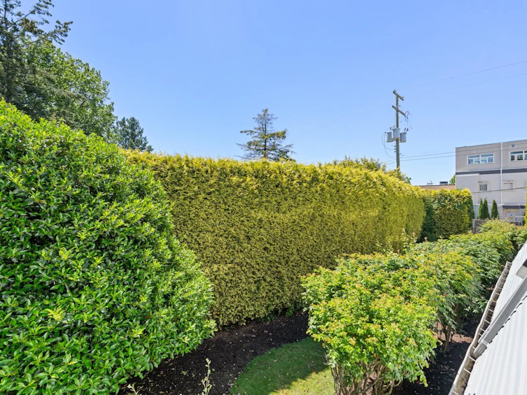 111-1341 George Street, Surrey, BC, V4B 4A1 - 18