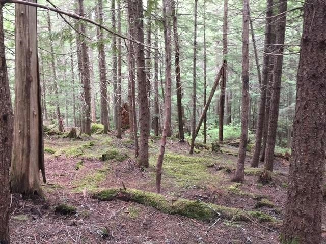 9024 Riverside Drive, Whistler, BC, V8E 1M1 - 21