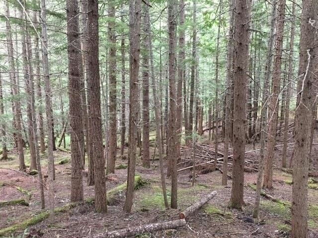 9024 Riverside Drive, Whistler, BC, V8E 1M1 - 20