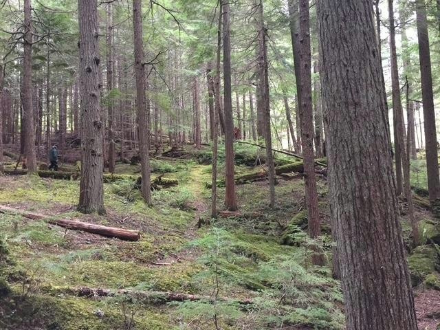 9024 Riverside Drive, Whistler, BC, V8E 1M1 - 25
