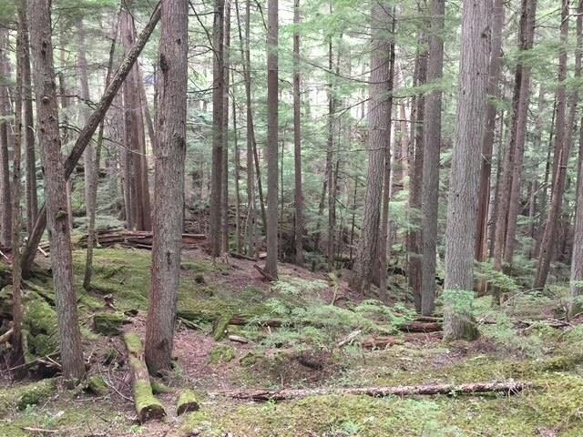 9024 Riverside Drive, Whistler, BC, V8E 1M1 - 23