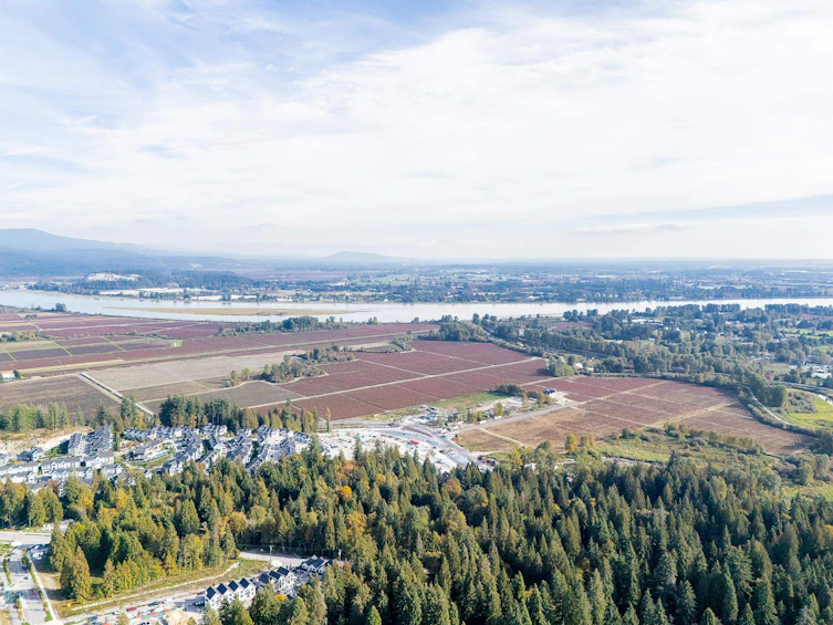 1446 Mitchell Street, Coquitlam, BC, V3E 0P2 - 39