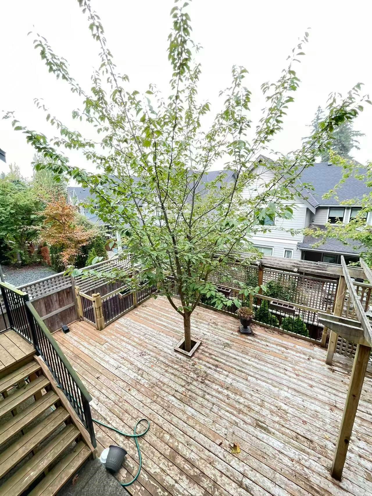 3000 Helc Place, Surrey, BC, V3Z 0C7 - 9