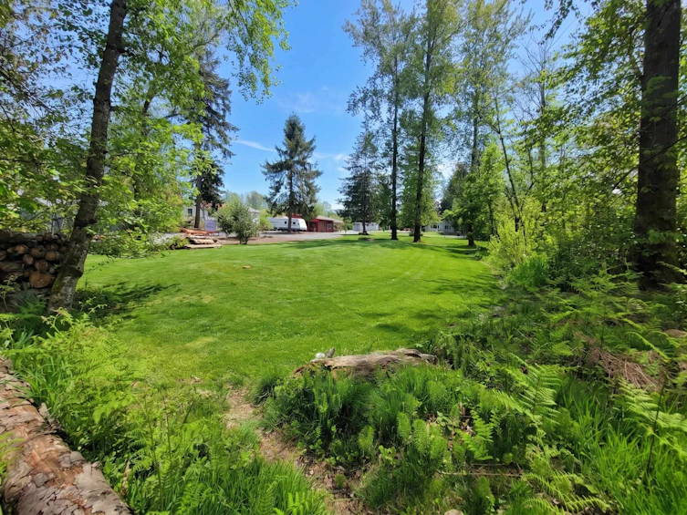 23541 24 Avenue, Langley, BC, V2Z 3A2 - 36