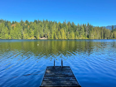 4713 Hotel Lake Crescent - 3