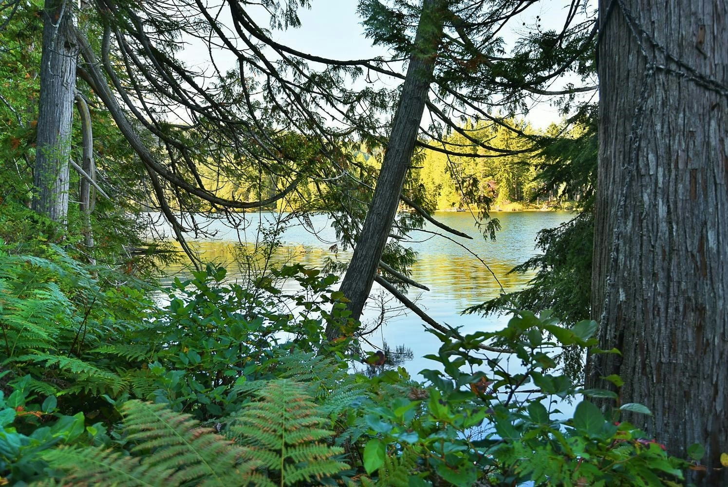 4713 Hotel Lake Crescent, Pender Harbour Egmont, BC, V0N 1S1 - 29