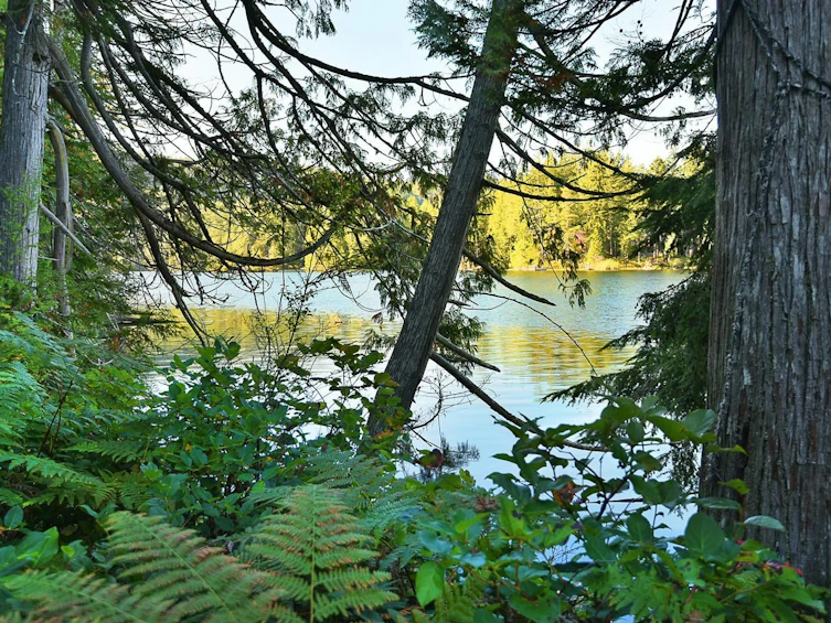 4713 Hotel Lake Crescent, Pender Harbour Egmont, BC, V0N 1S1 - 29