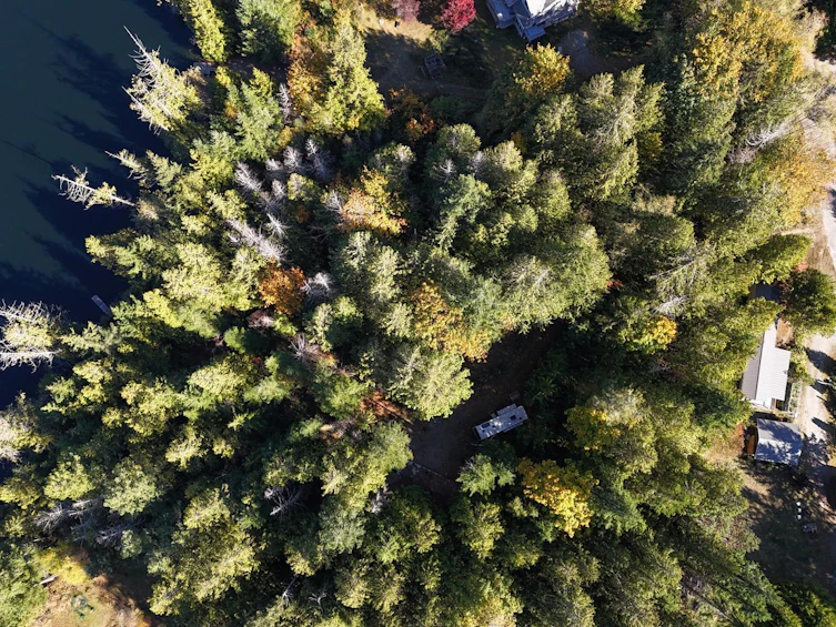 4713 Hotel Lake Crescent, Pender Harbour Egmont, BC, V0N 1S1 - 8