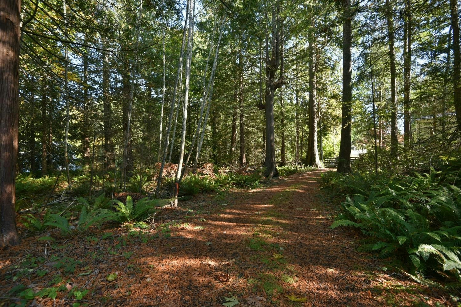 4713 Hotel Lake Crescent, Pender Harbour Egmont, BC, V0N 1S1 - 36