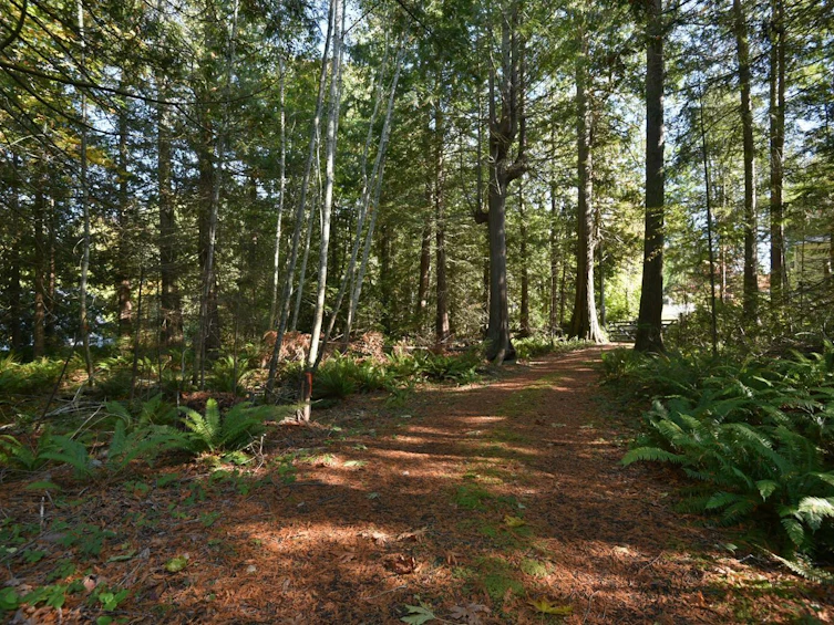 4713 Hotel Lake Crescent, Pender Harbour Egmont, BC, V0N 1S1 - 36