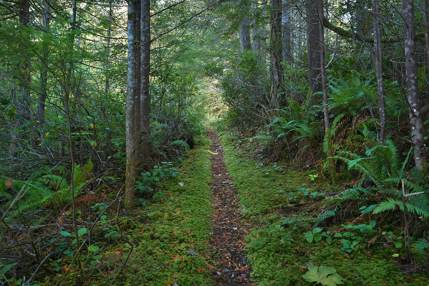 4713 Hotel Lake Crescent, Pender Harbour Egmont, BC, V0N 1S1 - 33