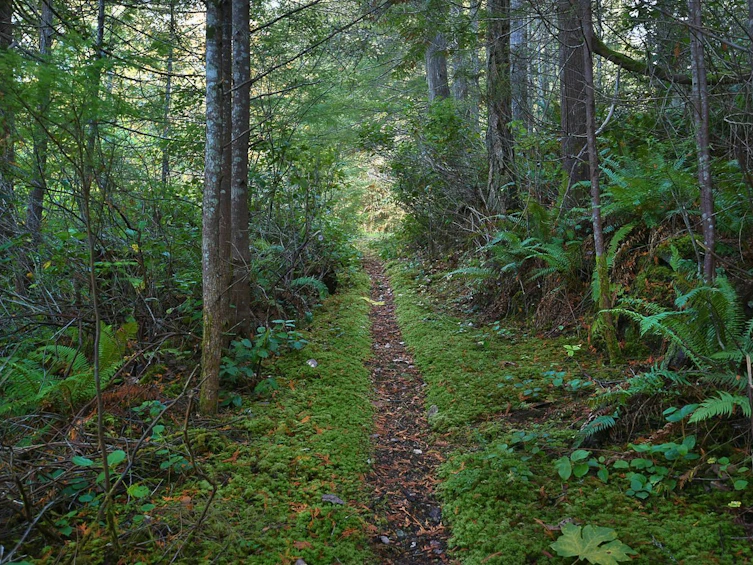 4713 Hotel Lake Crescent, Pender Harbour Egmont, BC, V0N 1S1 - 33
