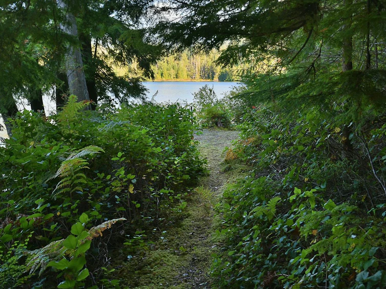 4713 Hotel Lake Crescent, Pender Harbour Egmont, BC, V0N 1S1 - 28
