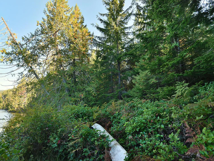 4713 Hotel Lake Crescent, Pender Harbour Egmont, BC, V0N 1S1 - 31