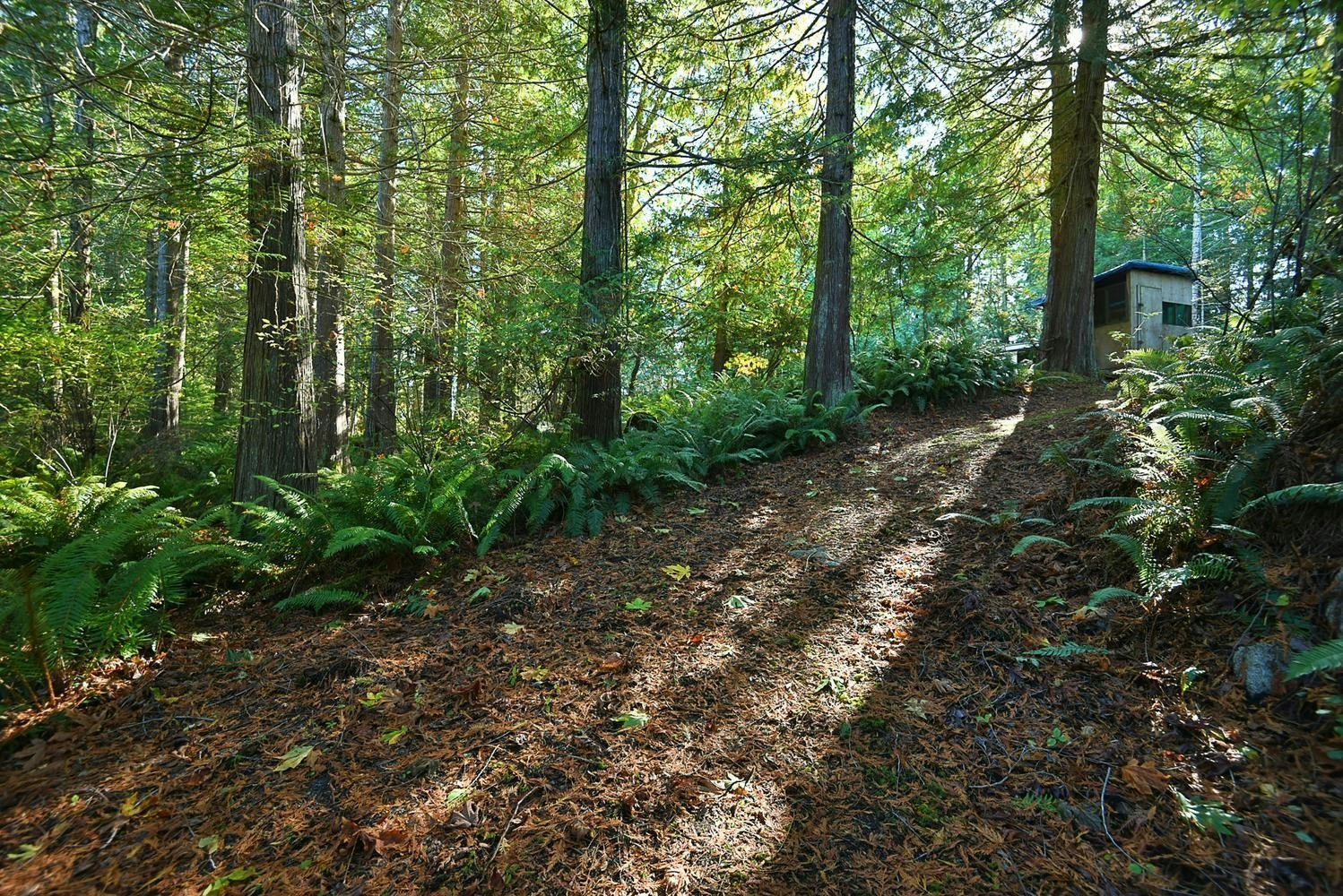 4713 Hotel Lake Crescent, Pender Harbour Egmont, BC, V0N 1S1 - 22