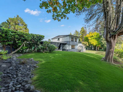 8758 Crest Drive - 3