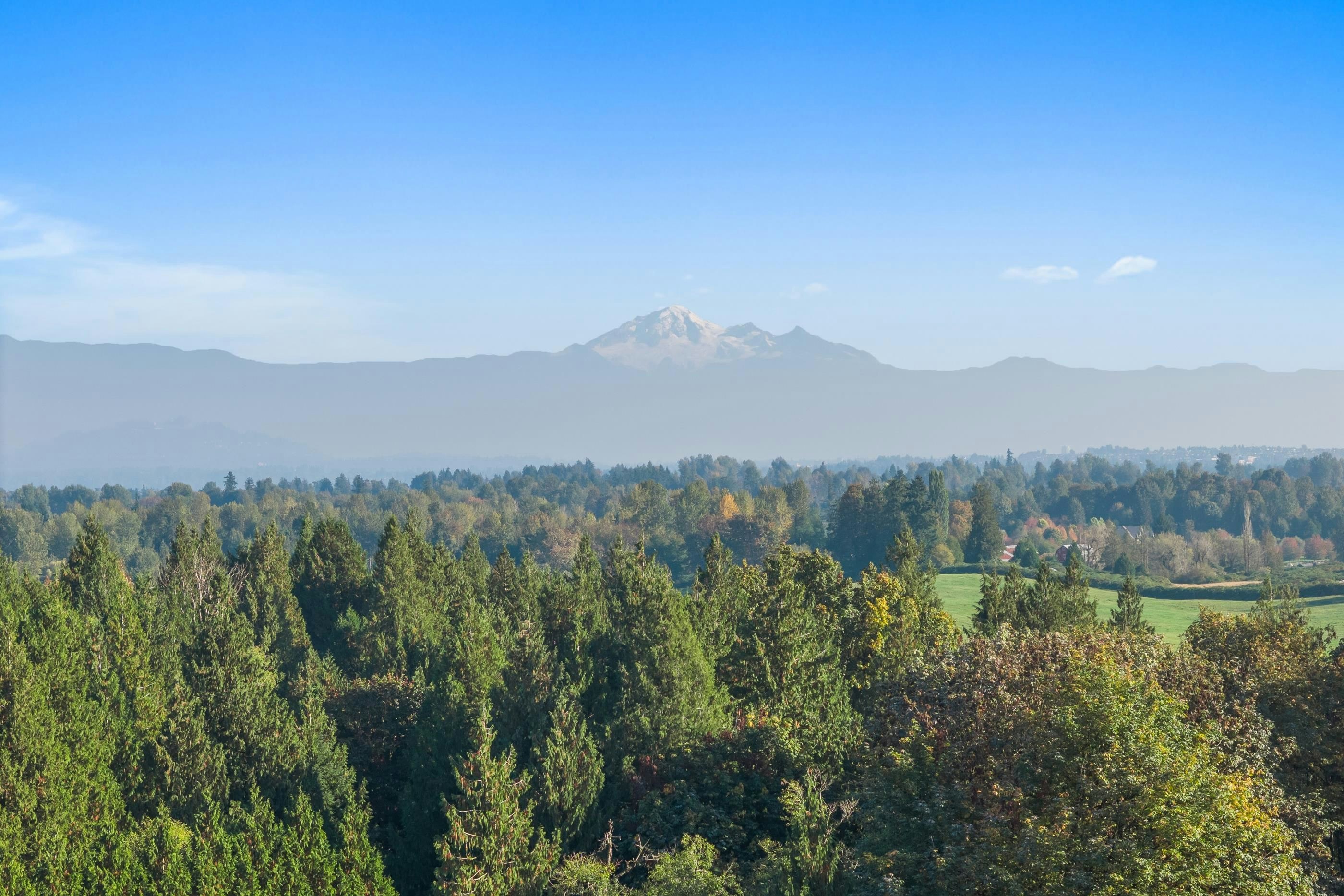 6077 Ross Road - 5