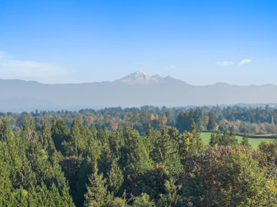 6077 Ross Road - 5